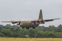 8T-CC @ EDDR - Lockheed C-130K Hercules - by Jerzy Maciaszek