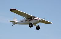 N3497M @ C77 - Piper PA-12 - by Mark Pasqualino