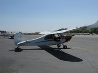 N85780 @ SZP - 1946 Aeronca 7AC CHAMPION, Continental A&C65 65 Hp - by Doug Robertson