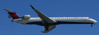 N800SK photo, click to enlarge
