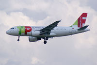 CS-TTE photo, click to enlarge