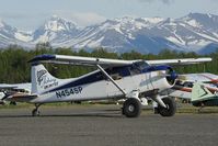 N454SP @ LHD - Beaver - by Dietmar Schreiber - VAP