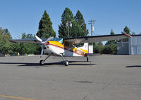 N46317 @ GOO - Parked at Nevada County Airport, Grass Valley, CA. - by Phil Juvet