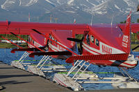 N4444Z @ LHD - Rusts dash 2 beaver - by Dietmar Schreiber - VAP