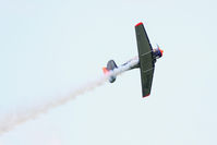 D-FHGK @ LOXZ - Red Bull - by Thomas Ranner