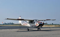 N6027B @ 103 - Tied down at Lodi Airport, California. Paint in poor condition. - by Phil Juvet