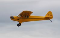 N70960 @ KOSH - Piper J3C-65 - by Mark Pasqualino