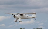 N25174 @ KOSH - Luscombe 8A - by Mark Pasqualino