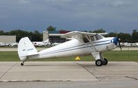N2952K @ KOSH - Luscombe 8A - by Mark Pasqualino
