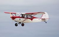 N496AT @ KOSH - Christy