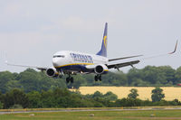 EI-EVM photo, click to enlarge EI-EVM photo, click to enlarge