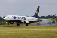EI-EVM photo, click to enlarge EI-EVM photo, click to enlarge