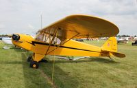 N9822N @ KOSH - Piper J-3 - by Mark Pasqualino