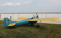 N348Y @ C77 - Buhl LA-1