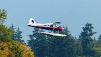C-FZZJ @ CYHC - SaltSpring Air Beaver on landing approach in Coal  Harbour.