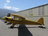 N33112 @ SZP - 1940 Piper J3C-65 CUB, Continental C90, 90 Hp upgrade, on Aviation Museum of Santa Paula ramp - by Doug Robertson