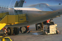 OE-LEG photo, click to enlarge OE-LEG photo, click to enlarge