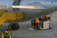 OE-LEG photo, click to enlarge OE-LEG photo, click to enlarge