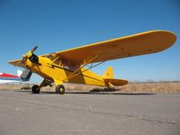 N2242M @ MYV - 1946 Piper J3C-65, c/n: 21033 - by Timothy Aanerud