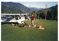 N555GB @ NZ - Piper cub 186379 x ZK CMQ. Owned and operated by Neville and Kathy Smith on venison recovery in 1980's. Adverage load off this bushstrip 4 deer 1 pig a dog and passenger. - by Neville Smith