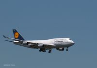 D-ABVP @ KJFK - Final approach to JFK - by gbmax