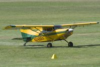 N246SV @ EDFM - nice catch at Manneheim - by Joop de Groot