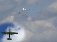 PH-STU - Kun je niet ergens anders gaan vliegen, boven een snelweg of een andere plek waar al herrie is? Eerst alle vogels uit de Rammelwaard oppesten (narura 200 gebied, natuurreservaat etectera), en dan bijna in een wolk aalscholvers terecht komen. Niet slim! - by Michel Klemann