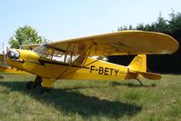 F-BETY @ LFCD - small bear Cub - by Jean Goubet-FRENCHSKY
