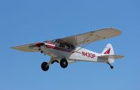 N4313P @ KOSH - Piper PA-18-150 - by Mark Pasqualino