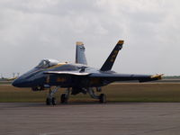 163768 photo, click to enlarge