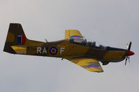 ZF239 photo, click to enlarge ZF239 photo, click to enlarge