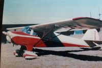 N95524 - NC95524 1946 BC12D Taylorcraft picture taken sometime between 1952 and 1954 while owned by Ralph S. Richter of Orlando FL - by Unknown