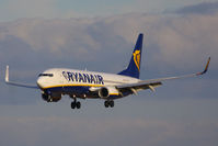 EI-EVS photo, click to enlarge EI-EVS photo, click to enlarge