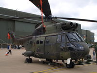 XW199 photo, click to enlarge XW199 photo, click to enlarge