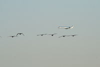 ES-ACD @ EBBR - Flight OV175 on approach to RWY 25R (seen from RWY 25L)