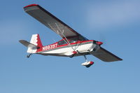 N88397 @ KHWD - John's Citabria in formation flight - by Steve K.