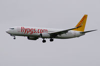 TC-AAL @ VIE - Pegasus Airlines Boeing 737-800 - by Thomas Ramgraber