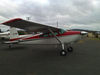 VH-FBG - Tailwheel conversion - by Mark Forgione