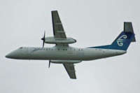 ZK-NEP @ NZAA - At Auckland - by Micha Lueck