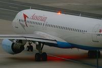 OE-LBM photo, click to enlarge