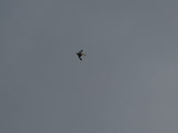 N15YR @ KOSH - About the best shot I could get :-(