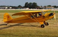N38551 @ KOSH - Piper J3L-65 - by Mark Pasqualino