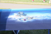 N707AA @ KOSH - N707AA - superb paint job! - by Pete Hughes