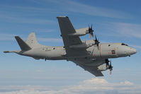 60 05 @ INFLIGHT - Lockheed P3 Orion German Marine - by Dietmar Schreiber - VAP
