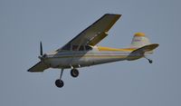 N8256A @ Z41 - Landing at Lake Hood Strip - by Todd Royer