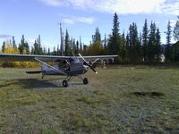 N51AA - Ed's Interstate Arctic Tern - by Teresa Noble