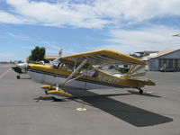 N4187Y @ SZP - 1977 Bellanca 8KCAB SUPER DECATHLON, Lycoming AEIO-360 180 Hp - by Doug Robertson