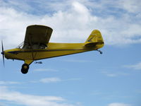 N118DG @ SZP - 2008 Ganzer XPA18, Continental O-200 100 Hp, Experimental class Piper PA-18 replica, on final Fwy 22 - by Doug Robertson