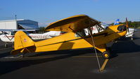N42181 @ KOMH - Orange - by Ronald Barker
