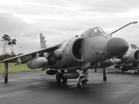 ZH808 photo, click to enlarge ZH808 photo, click to enlarge